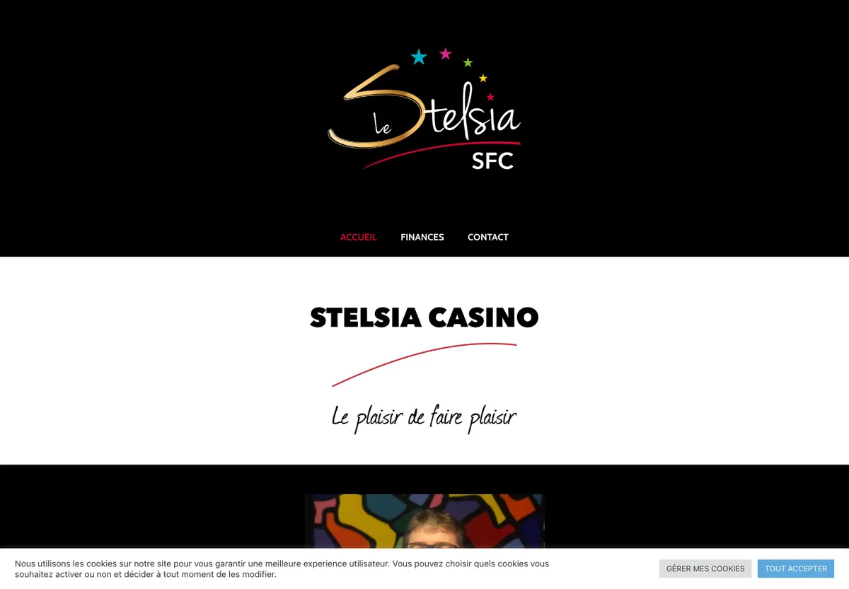 Le site du groupe, sous l'enseigne Stelsia